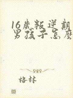 16岁叛逆期的男孩子怎么去引导