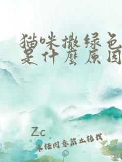 猫咪撒绿色的尿是什么原因