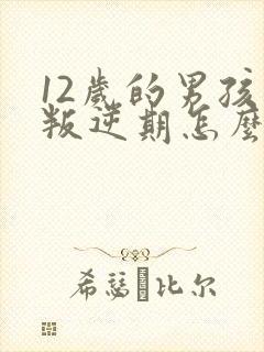 12岁的男孩子叛逆期怎么办