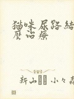 猫咪尿路结晶怎么治疗