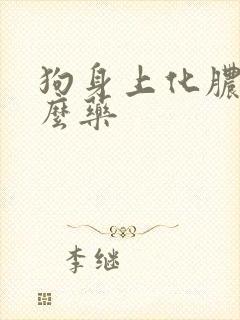 狗身上化脓用什么药