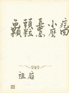 龟头长小疙瘩小颗粒怎么回事