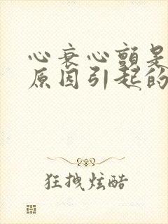 心衰心颤是什么原因引起的