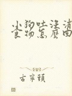 小狗吐没消化的食物怎么回事