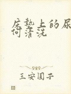 床垫上的尿渍如何清洗