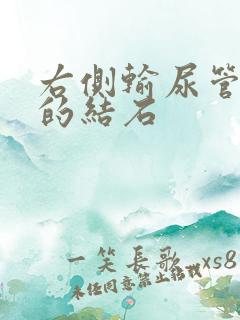 右侧输尿管下段的结石