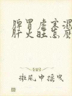 脾胃虚寒湿气重肝火旺怎么调理