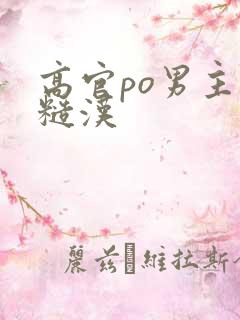 高官po男主是糙汉