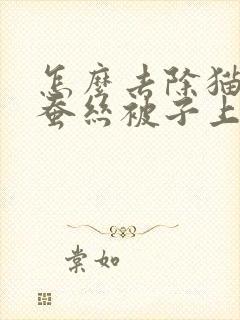 怎么去除猫尿在蚕丝被子上的味道