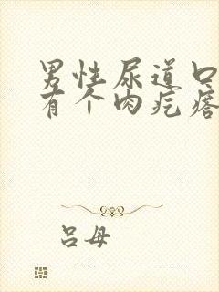 男性尿道口里面有个肉疙瘩