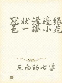 冠状沟边缘起肉色一排小疙瘩