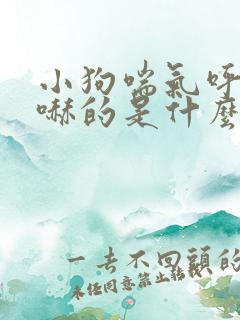 小狗喘气呼哧呼哧的是什么原因