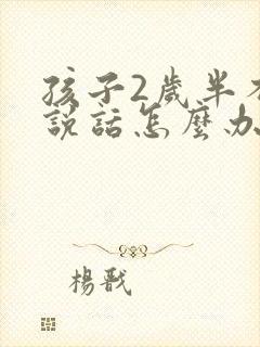 孩子2岁半不会说话怎么办