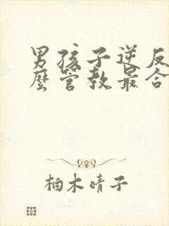 男孩子逆反期怎么管教最合适