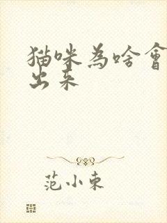 猫咪为啥会尿不出来