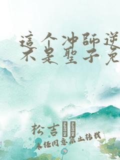 这个冲师逆徒才不是圣子免费小说