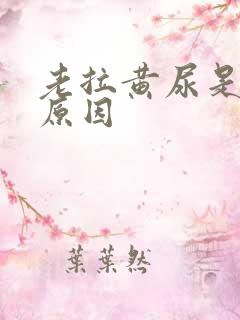 老拉黄尿是什么原因