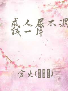 成人尿不湿多少钱一片