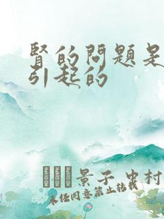 肾的问题是怎么引起的