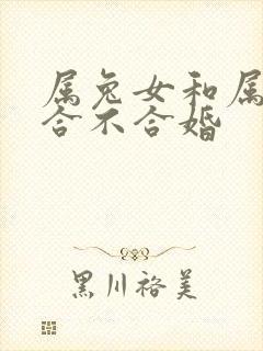 属兔女和属马的合不合婚