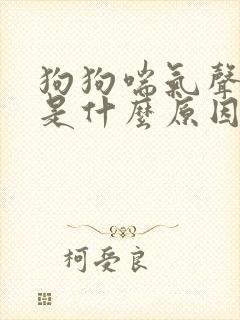 狗狗喘气声音大是什么原因