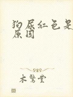 狗尿红色是什么原因