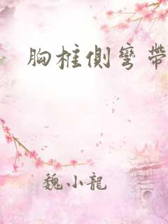 胸椎侧弯带支具