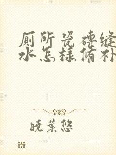 厕所瓷砖缝隙漏水怎样修补