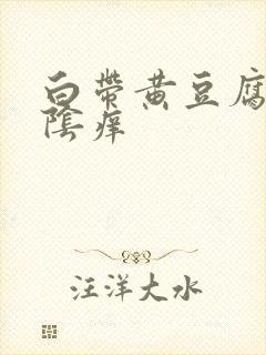 白带黄豆腐渣外阴痒