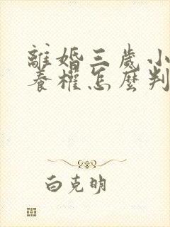 离婚三岁小孩抚养权怎么判定