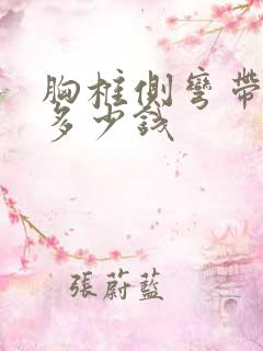 胸椎侧弯带支具多少钱