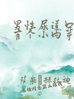 男性尿道口下边有个小肉芽