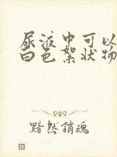 尿液中可以看到白色絮状物