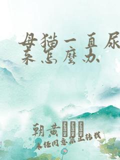 母猫一直尿不出来怎么办