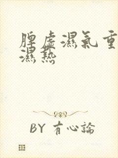 脾虚湿气重肝胆湿热