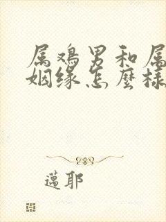 属鸡男和属龙女姻缘怎么样