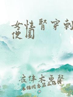 女性肾穿刺后小便图