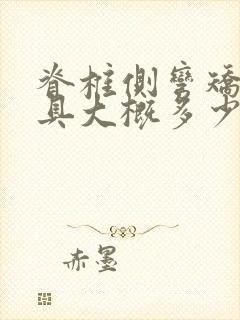 脊椎侧弯矫正支具大概多少钱