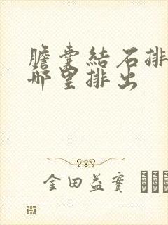 胆囊结石排石从哪里排出