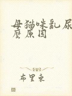 母猫咪乱尿是什么原因