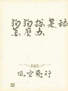 狗狗总是舔伤口怎么办