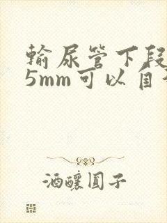 输尿管下段结石5mm可以自行排出吗