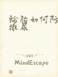 轮胎如何防止狗撒尿