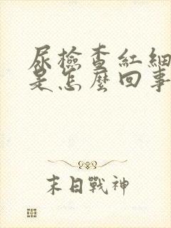 尿检查红细胞高是怎么回事