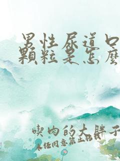 男性尿道口有小颗粒是怎么了