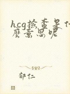 hcg检查是什么意思呢