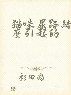 猫咪尿路结晶怎么引起的