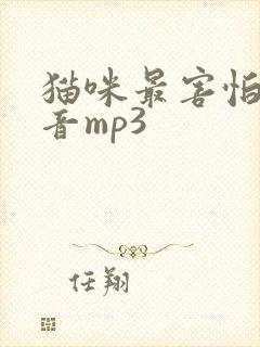 猫咪最害怕的声音mp3