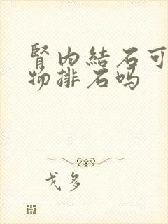 肾内结石可以药物排石吗