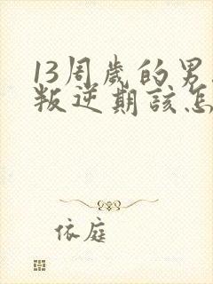 13周岁的男孩叛逆期该怎么办